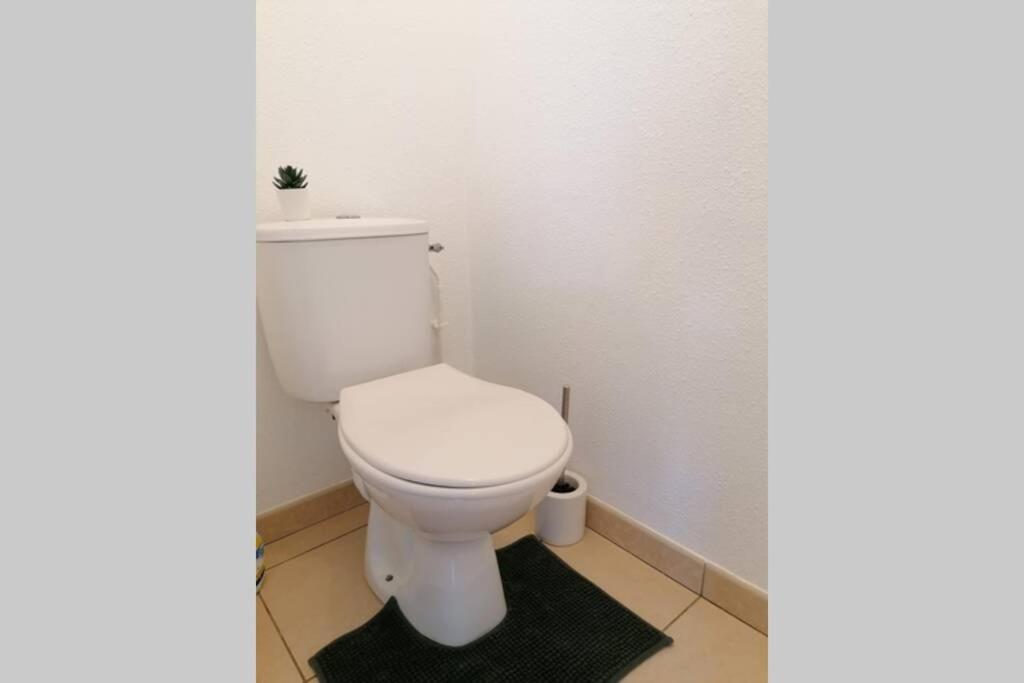 T2 Entier - Hyper Centre - Cosy Home Grenade-sur-Garonne Esterno foto