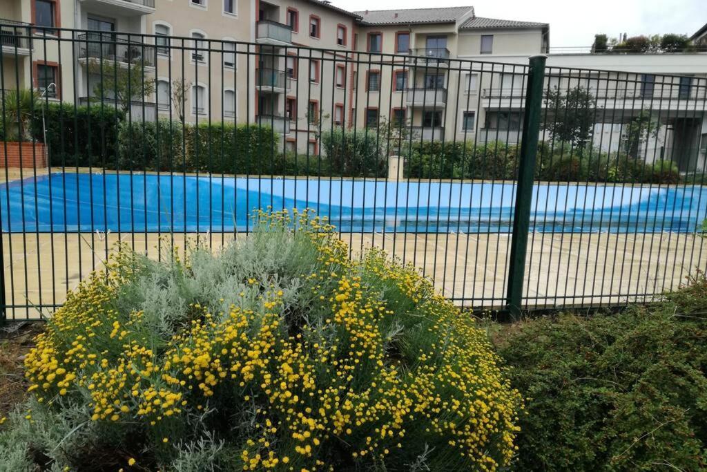 T2 Entier - Hyper Centre - Cosy Home Grenade-sur-Garonne Esterno foto